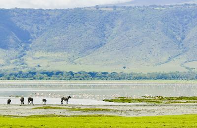 Kenya and Tanzania Family Safari  - 16 Days