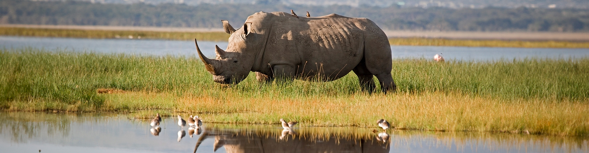 Premium Kenya & Tanzania - 15 Days