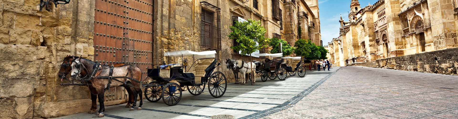 Premium Spain & Morocco - 19 Days