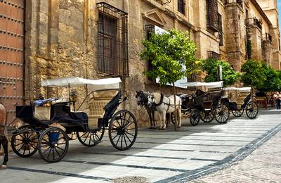 Premium Spain & Morocco - 19 Days