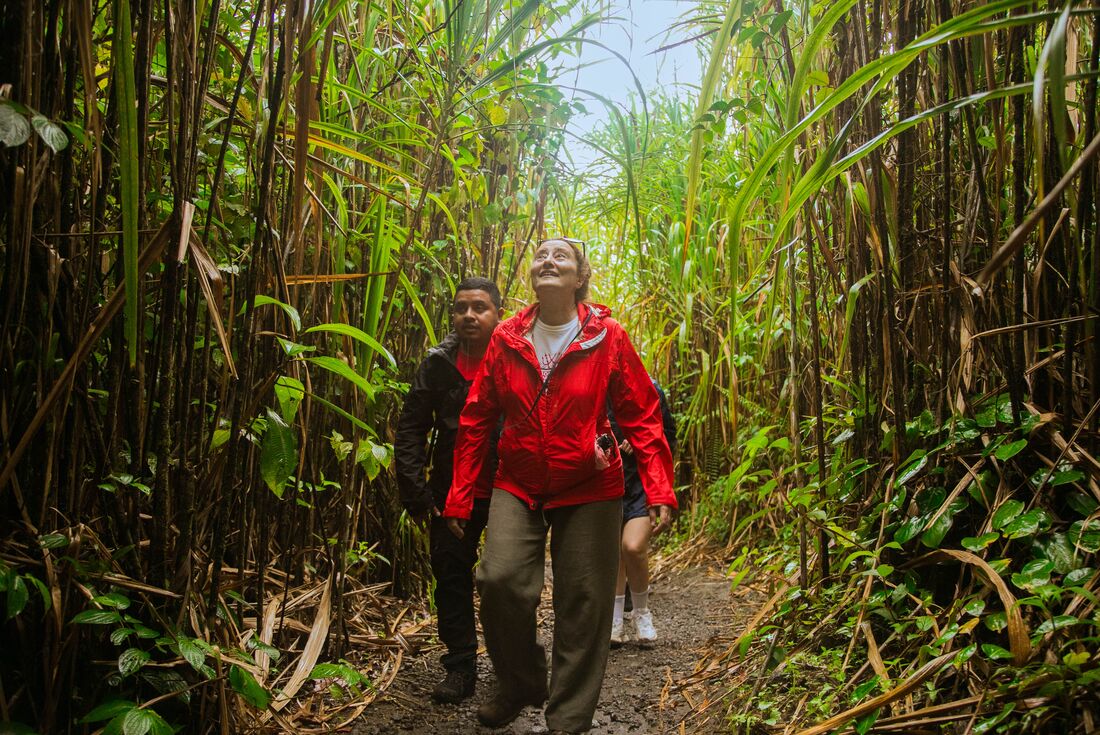Premium Costa Rica: Tortuguero and Caribbean Coast - 8 Days