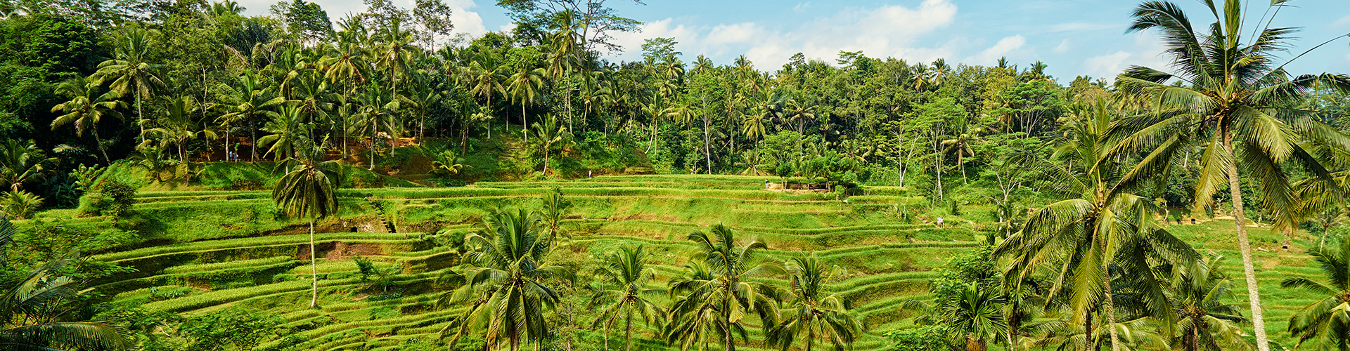 Bali Family Holiday with Teenagers - 8 Days