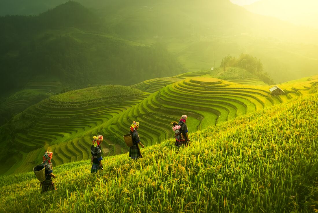 Premium Walking & Hiking in Vietnam - 9 Days