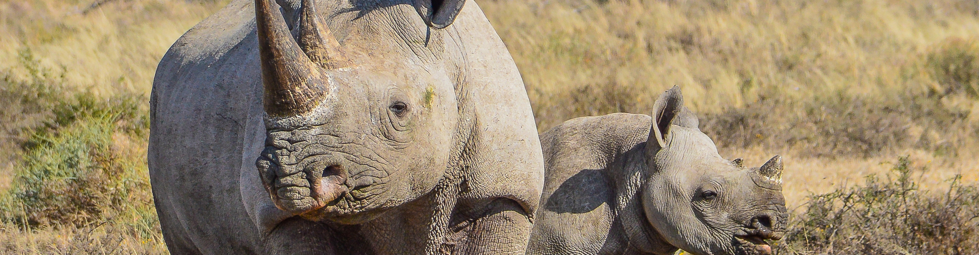 Botswana Family Safari with Teenagers - 10 Days