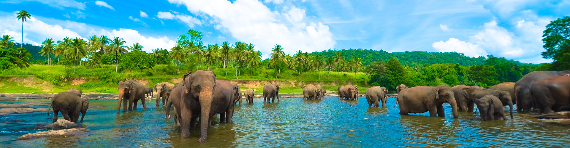Sri Lanka Family Holiday - 12 Days