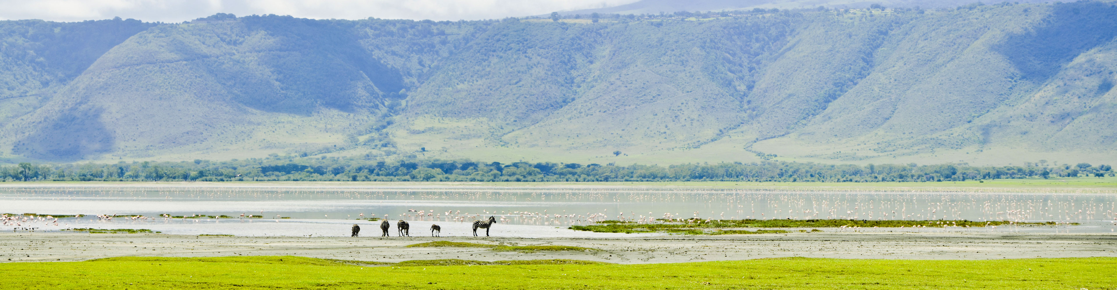 Kenya and Tanzania Family Safari - 15 Days