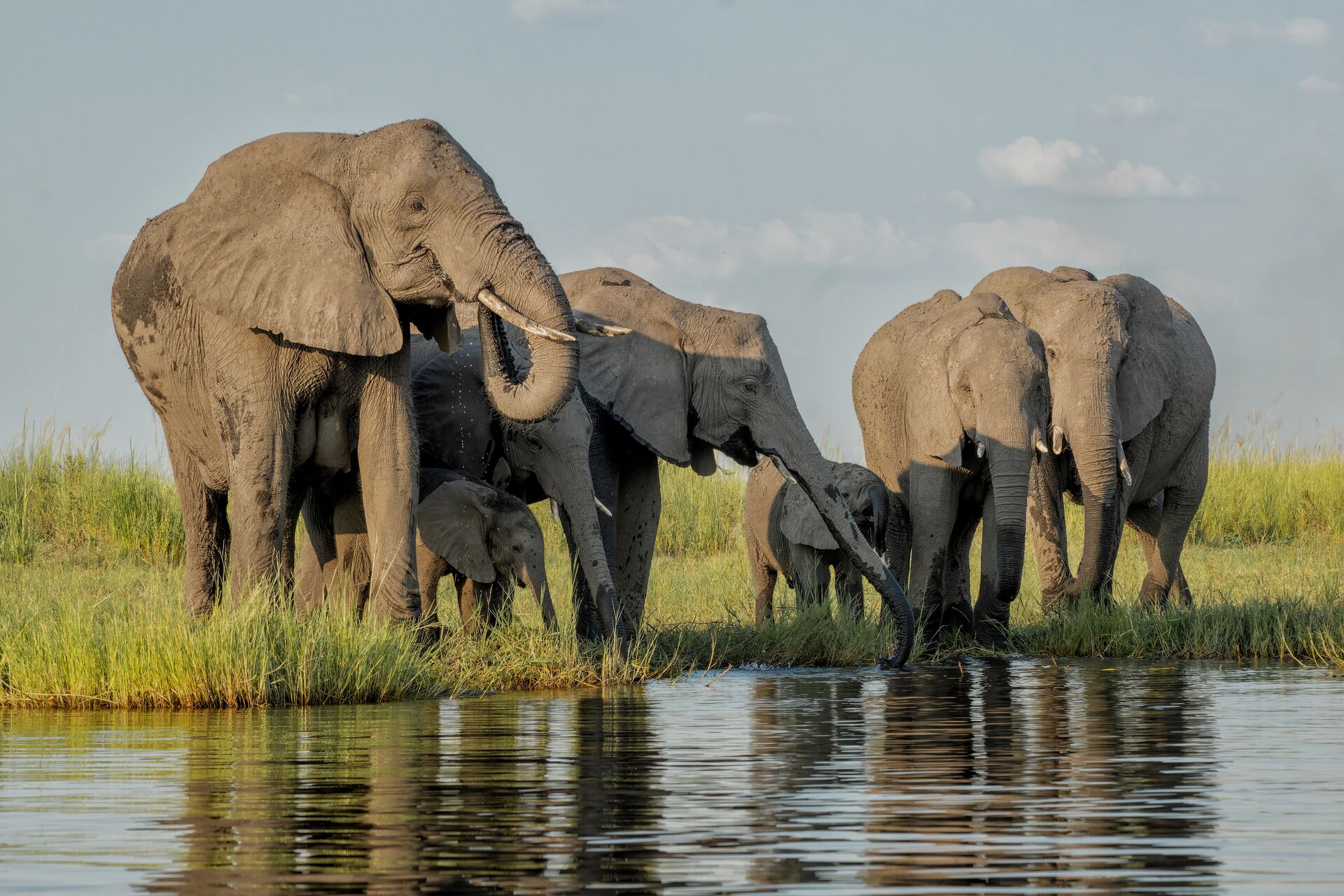 Best of Southern Africa Family Safari Comfort - 14 Days