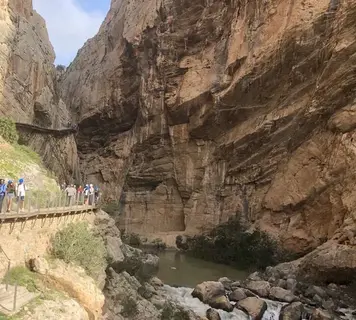 Image 15