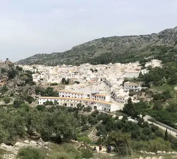 Image 19