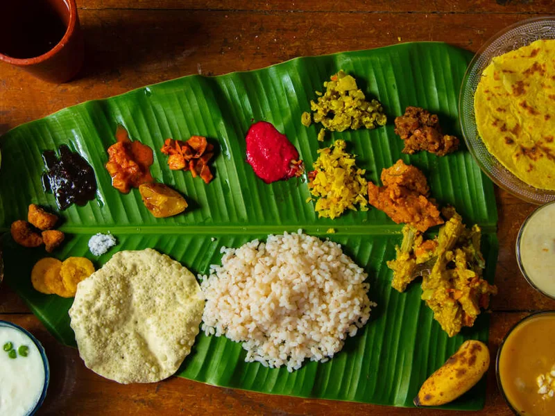 Upgraded - South India: Kerala to Goa 2027 - 12 Days