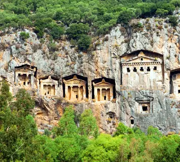 Image 11