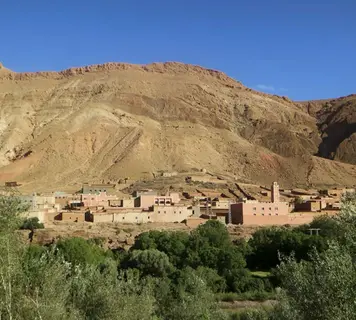 Image 7