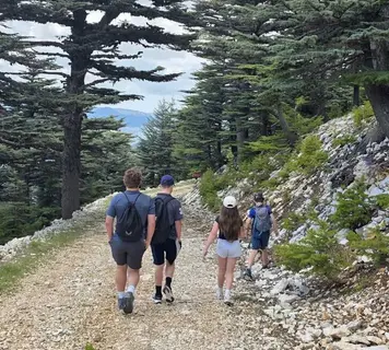 Image 11
