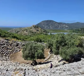 Image 6