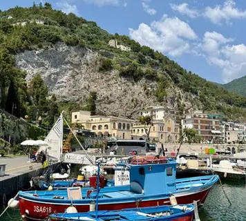 Image 19