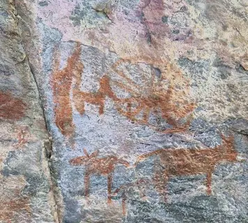 Image 20