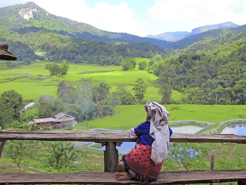 Family Thailand: Best of the North 2027 - 10 Days