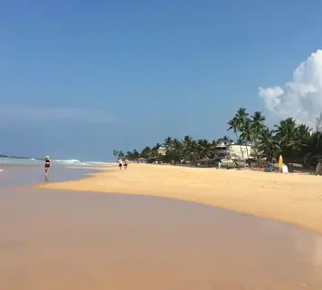 Image 11