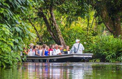 Upgraded - Costa Rica Wildlife - 14 Days