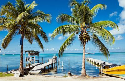 Family Belize Wildlife Adventure - 14 Days