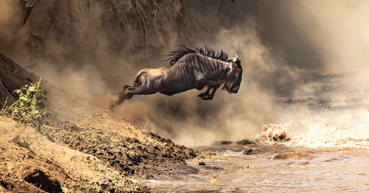 Upgraded - Highlights of Kenya & Tsavo 2026 - 12 Days