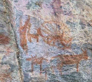Image 24