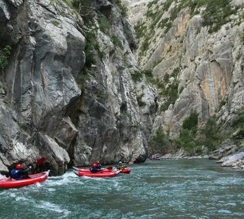 Image 15