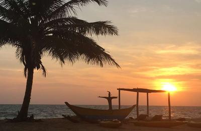Family Sri Lanka and Maldives Adventure - 15 Days