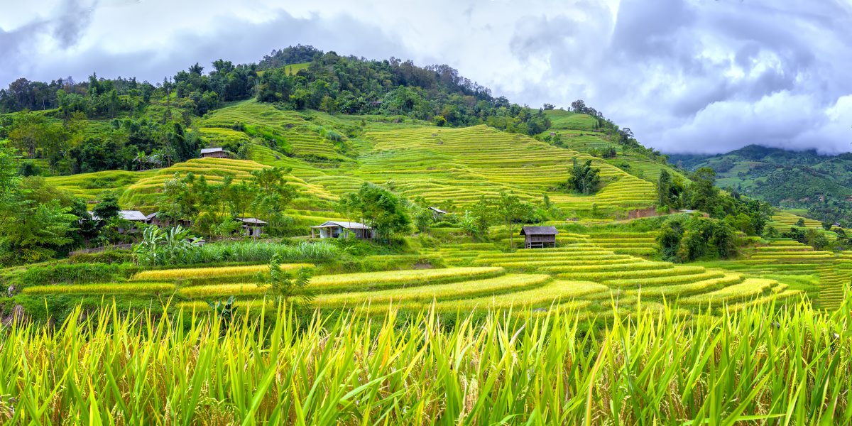 Family Vietnam In Depth 2026 - 15 Days