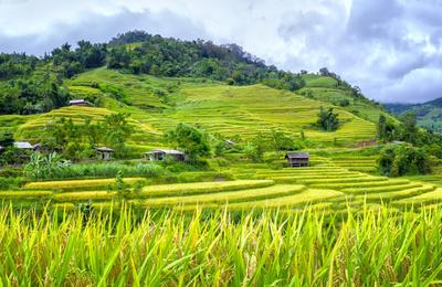 Family Vietnam In Depth 2026 - 15 Days