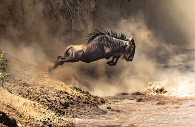 Upgraded - Highlights of Kenya 2027 - 8 Days