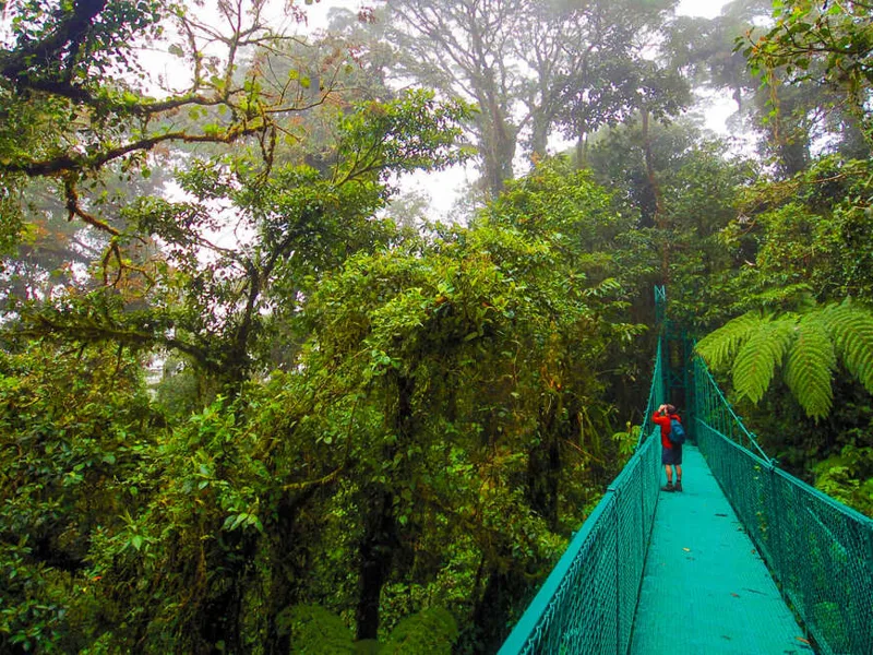 Upgraded - Costa Rica Wildlife 2026 - 14 Days