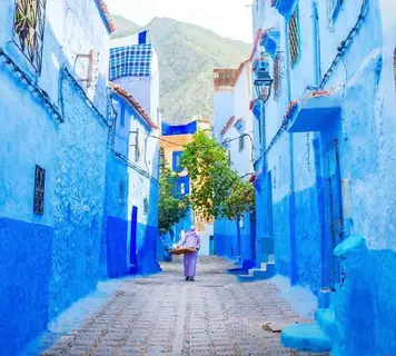 Image 11
