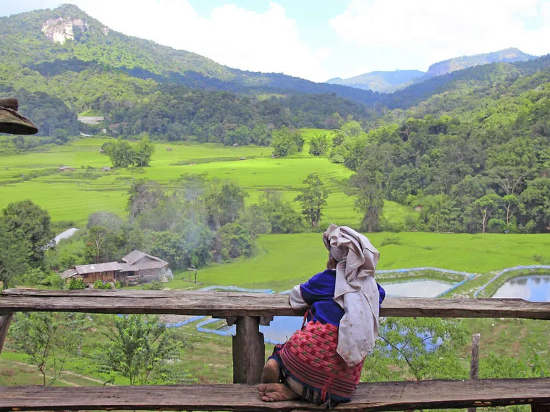 Family Thailand: Best of the North 2027 - 10 Days