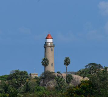 Image 15