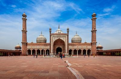 Classic Rajasthan - 11 Days