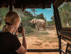 Sri Lanka: Elephants, Temples & Ocean Trails - 12 Days