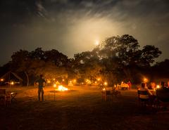 Sri Lanka Family Holiday: Elephants, Temples & Beaches