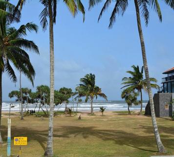 Image 11